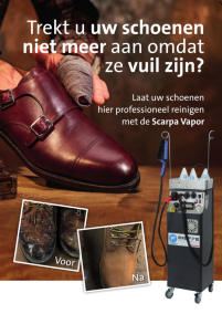 Stoomreiniger discount voor schoenen